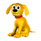 Rover